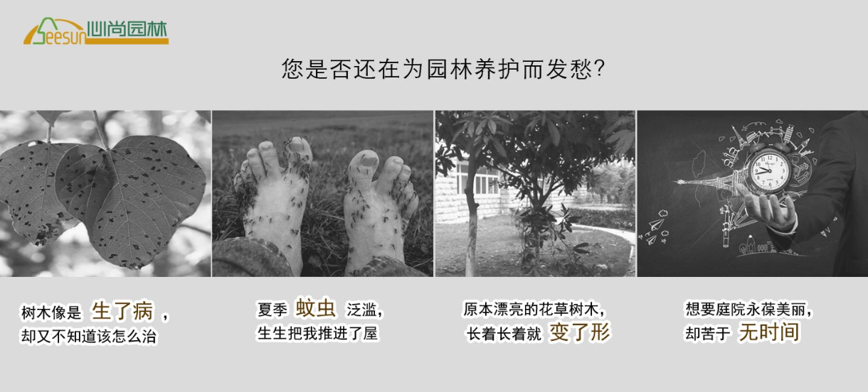 首页| PG电子游戏试玩官方网站